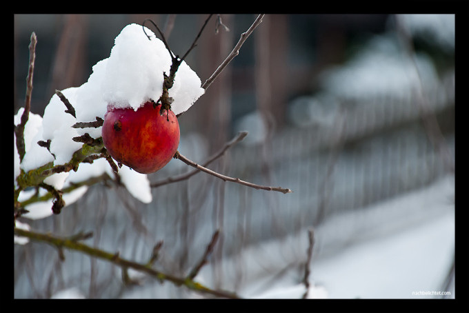 Winterfotos aus dem Bürofenster