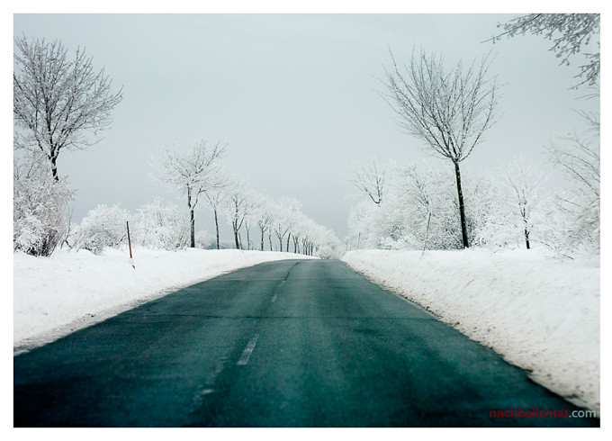 Mein Winterbild des Jahres als Wallpaper