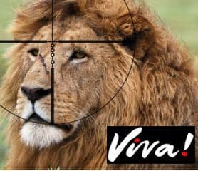 Never a Nikon? Der Kamerahersteller tritt ins Fettnäpfchen