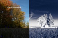 Infrared Landscape 2