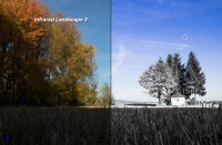 Infrared Landscape 3