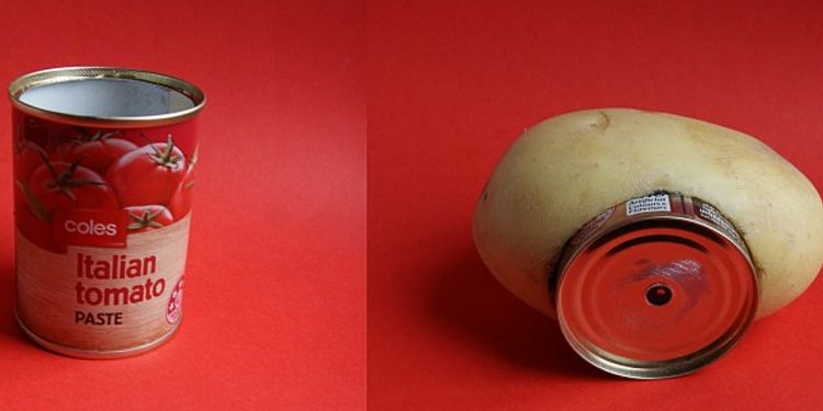 Schon mal mit einer Kartoffel fotografiert?