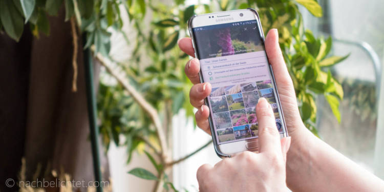 [Anzeige] PixelNet macht Foto-Momente zum Fotobuch – inkl. Gutschein!