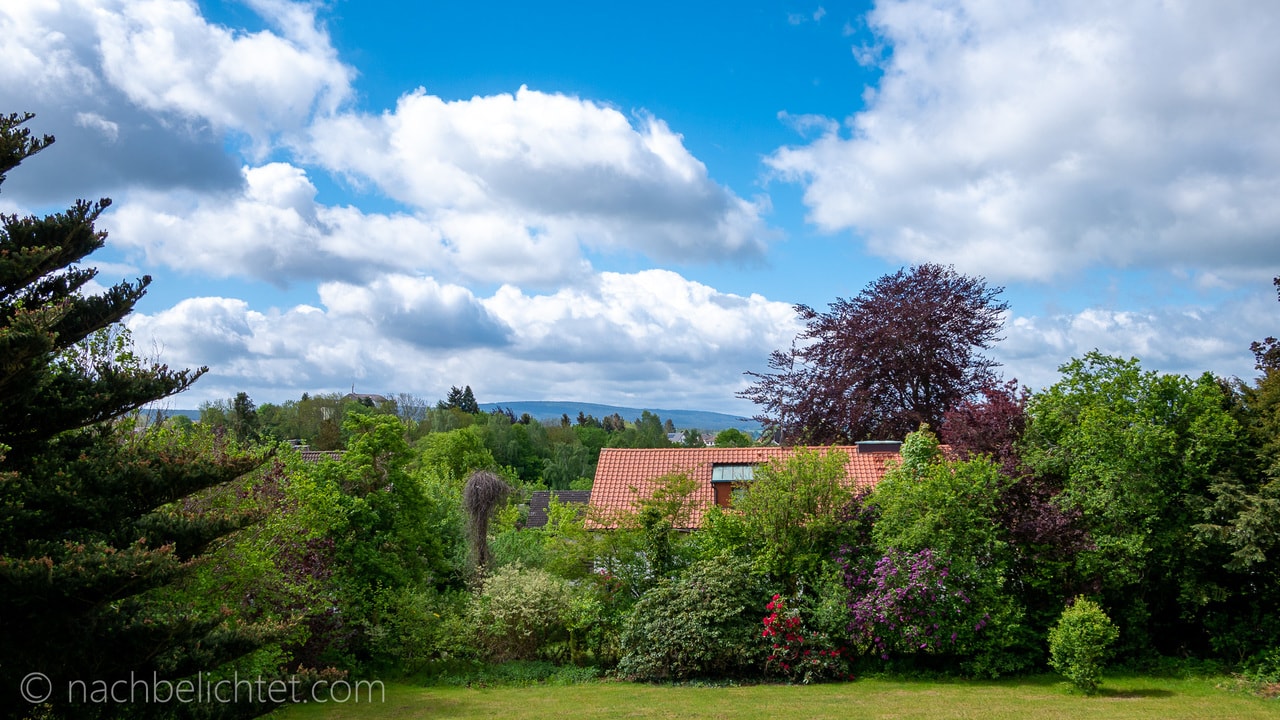 Wochenrückblick KW21/20 – Besucherrekorde, Lightroom, Tesla, P-Modus, und Garten