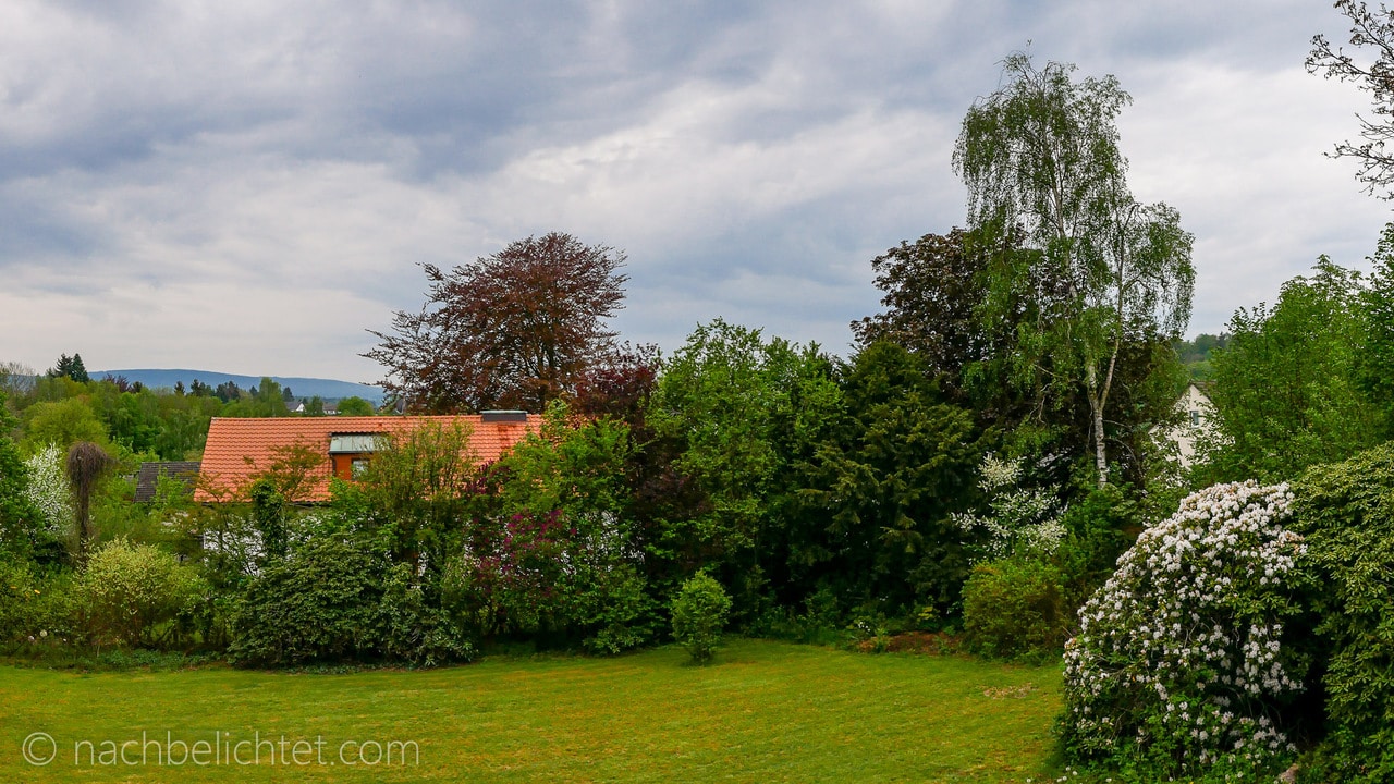 Wochenrückblick KW19/20 – die beste Kamera, kostenlose Software und neues Blog-Layout