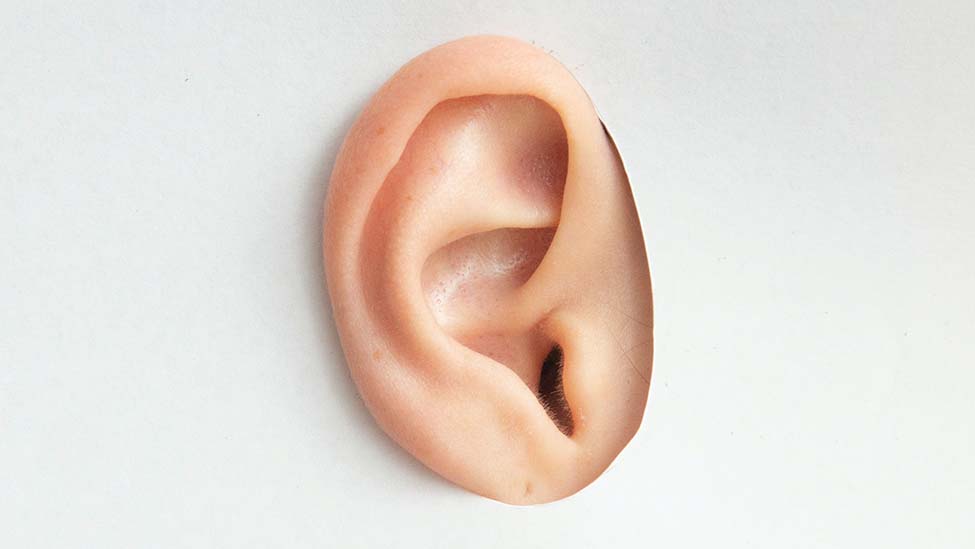 Hören wie ein Mikrofon