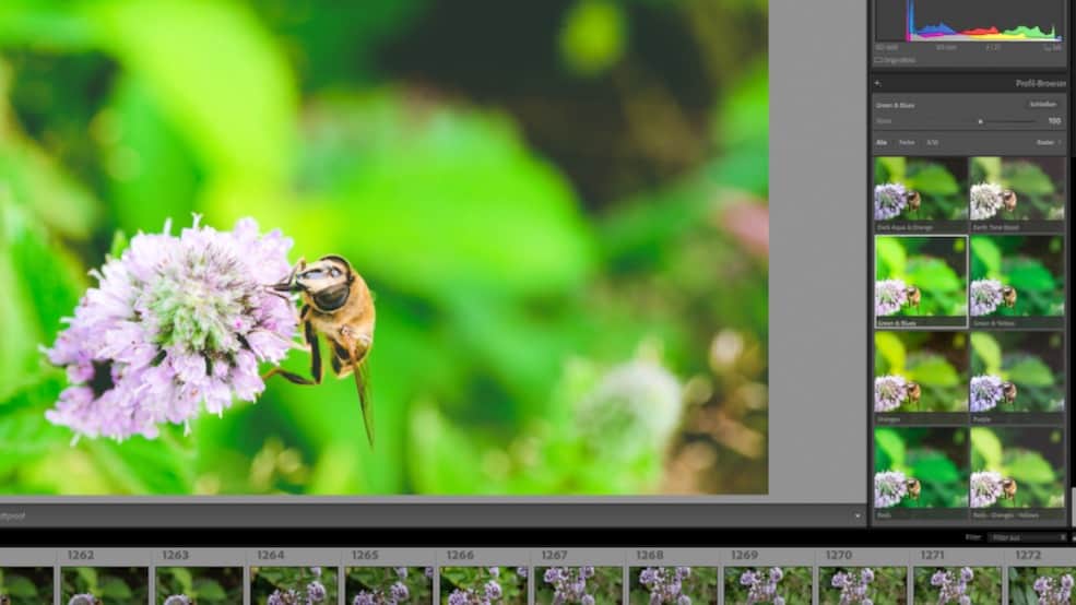 Der Unterschied zwischen Lightroom Presets und Profilen